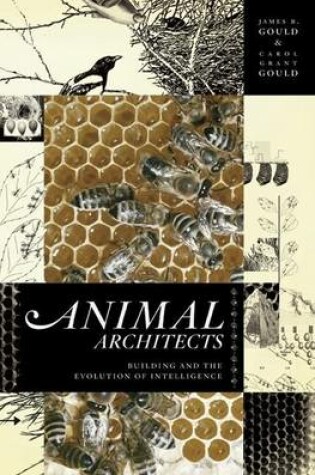 Cover of Animal Architects: Building and the Evolution of Intelligence