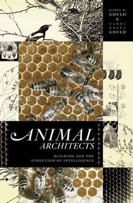 Book cover for Animal Architects: Building and the Evolution of Intelligence