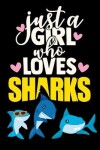 Book cover for Black Paper Shark Sketchbook