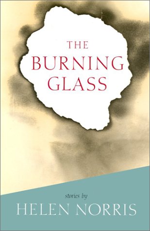 Book cover for The Burning Glass