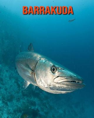 Book cover for Barrakuda