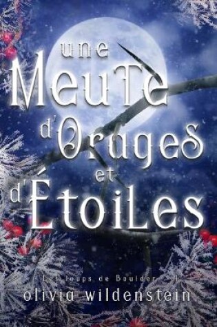 Cover of Une Meute d'Orages et d'Étoiles