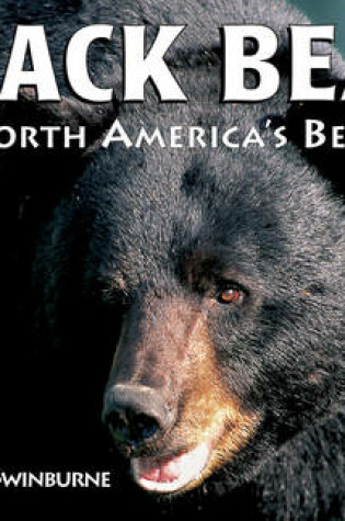 Cover of Black Bear