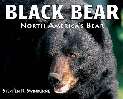 Book cover for Black Bear