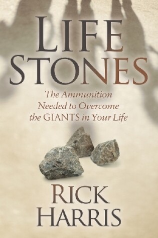 Cover of Life Stones