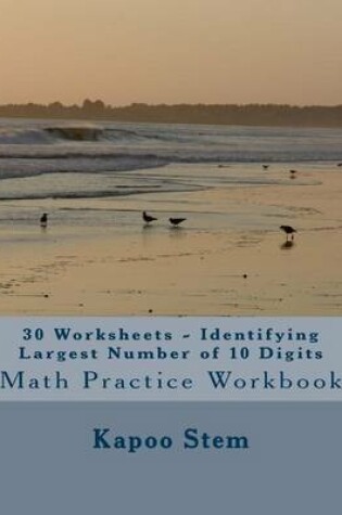 Cover of 30 Worksheets - Identifying Largest Number of 10 Digits