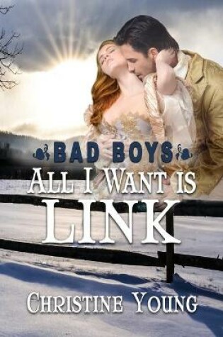 Cover of All I Want is Link