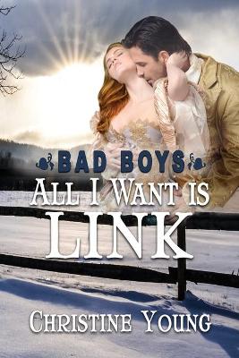 Book cover for All I Want is Link