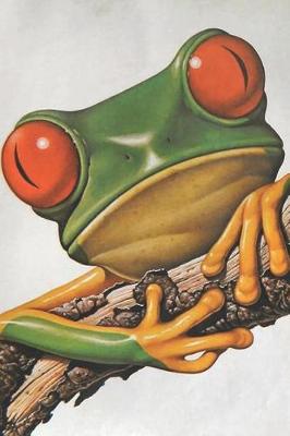 Book cover for Vintage Frog Notebook