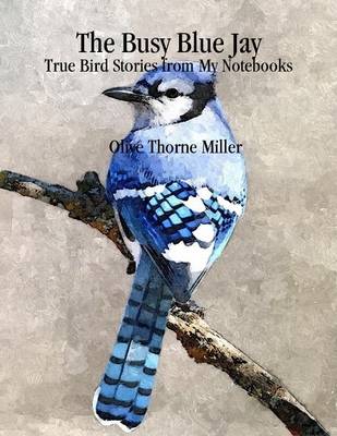 Book cover for The Busy Blue Jay: True Bird Stories from My Notebooks