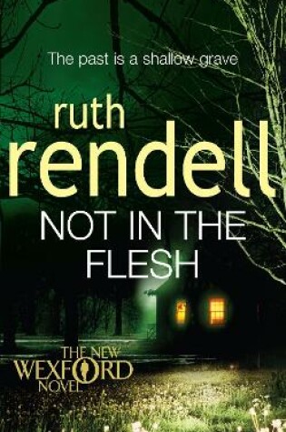 Cover of Not in the Flesh