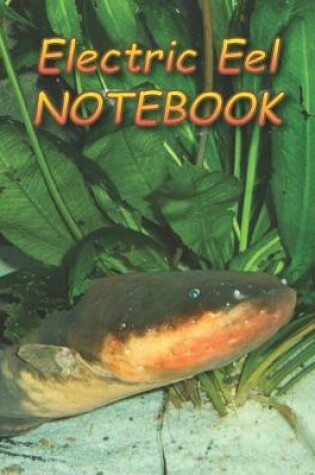Cover of Electric Eel NOTEBOOK