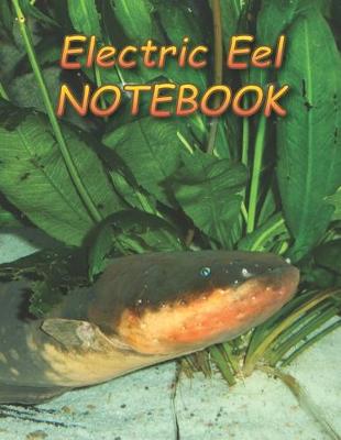 Cover of Electric Eel NOTEBOOK