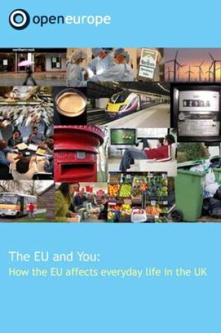 Cover of The EU and You:  How the EU Affects Everyday Life in the UK