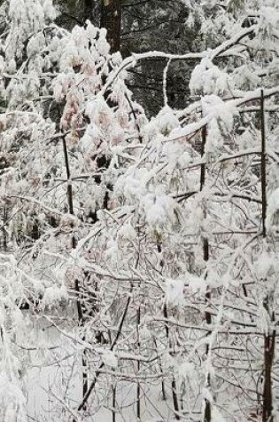 Cover of Winter Season Journal Nature Photo