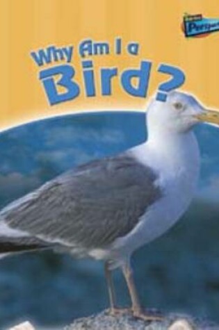 Cover of Why am I a Bird?