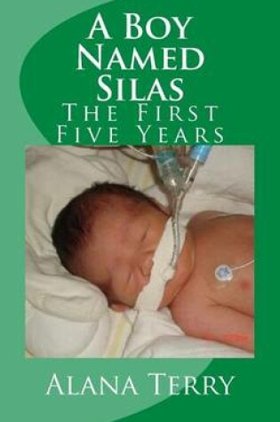 Cover of A Boy Named Silas