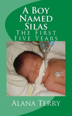 Book cover for A Boy Named Silas