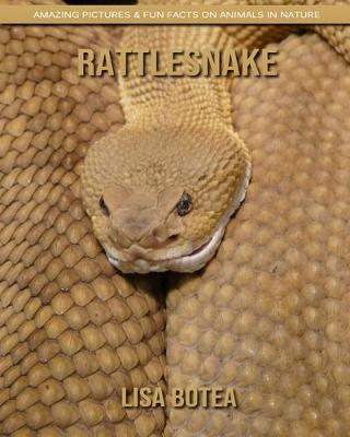Book cover for Rattlesnake
