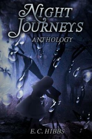 Cover of Night Journeys