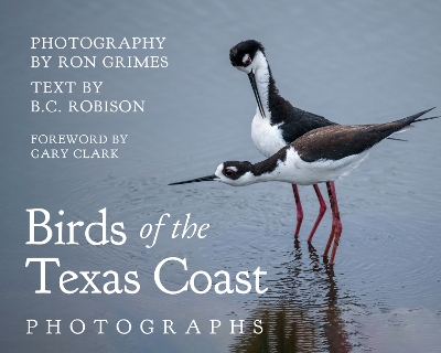 Book cover for Birds of the Texas Coast