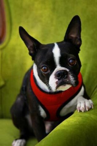 Cover of Pug Puppy in a Red Vest Journal