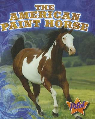 Cover of The American Paint Horse