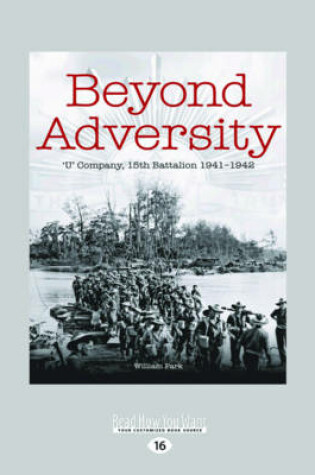 Cover of Beyond Adversity