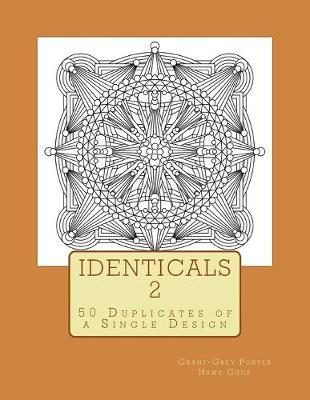 Book cover for Identicals 2