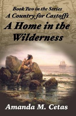 Book cover for A Home in the Wilderness