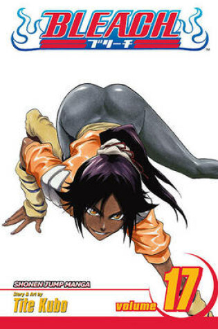 Cover of Bleach, Volume 17