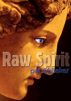 Cover of Raw Spirit