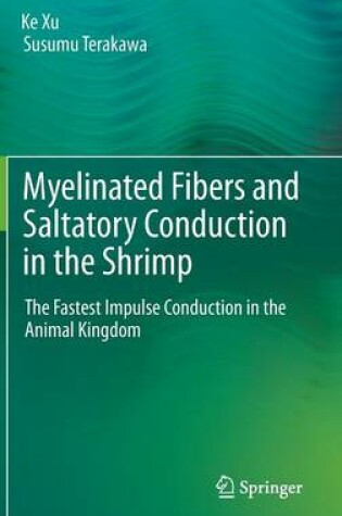 Cover of Myelinated Fibers and Saltatory Conduction in the Shrimp