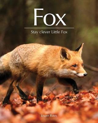 Book cover for Fox