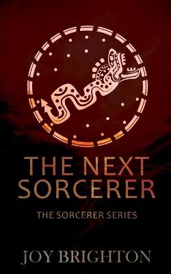 Book cover for The Next Sorcerer