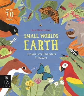 Book cover for Small Worlds: Earth