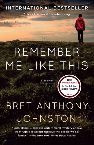 Book cover for Remember Me Like This