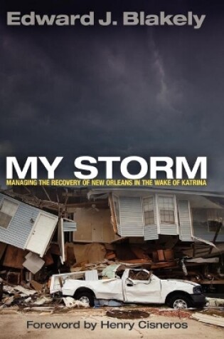 Cover of My Storm