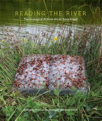 Book cover for Reading the River