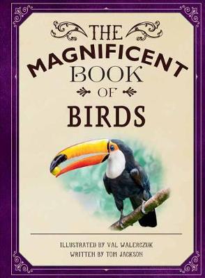 Book cover for The Magnificent Book of Birds