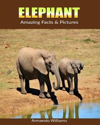 Book cover for Elephant