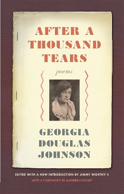 Book cover for After a Thousand Tears