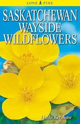 Book cover for Saskatchewan Wayside Wildflowers