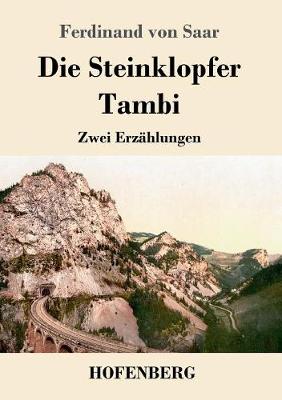 Book cover for Die Steinklopfer / Tambi