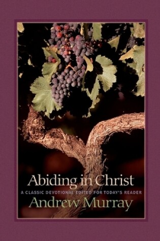 Cover of Abiding in Christ