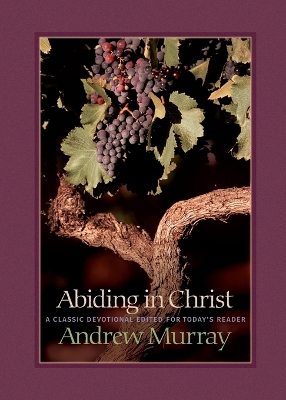 Book cover for Abiding in Christ