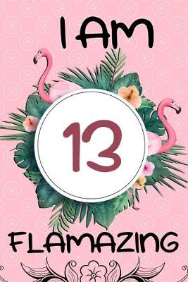 Book cover for I Am 13 Flamazing