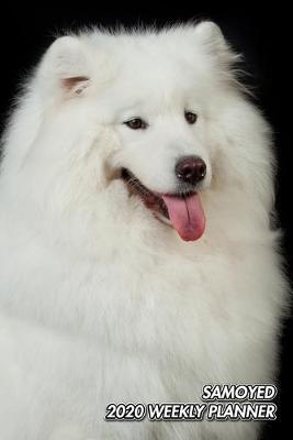 Book cover for Samoyed 2020 Weekly Planner