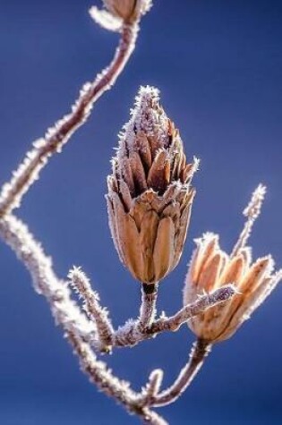 Cover of Frost on the Tree Branch Nature in Early Winter Journal