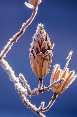 Book cover for Frost on the Tree Branch Nature in Early Winter Journal